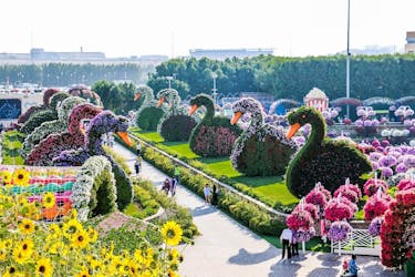 Miracle Garden and Dubai Frame tickets with shared transfers